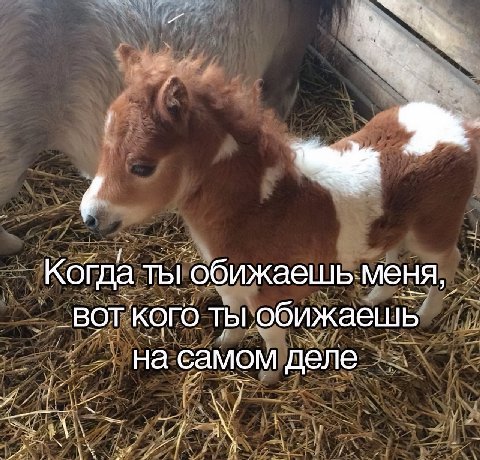 Когда ТЫ обижаешь меня, ВОТ Кого ты обижаешь самом деле