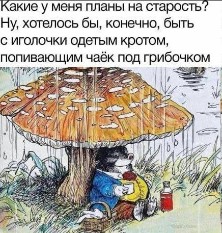 Какие у меня планы на старость? Ну, хотелось бы, конечно, быть с иголочки одетым кротом, попивающим чаёк под грибочком 2,