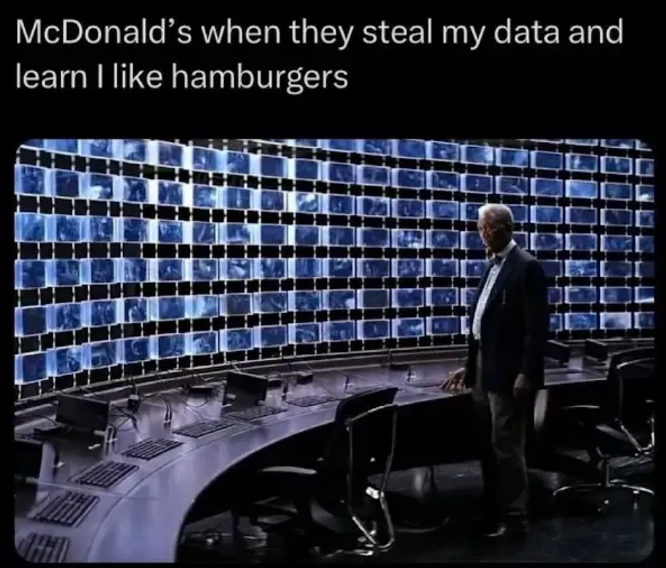 McDonald’s when they steal my data and learn like hamburgers
