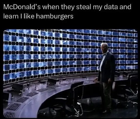 McDonald’s when they steal my data and learn like hamburgers