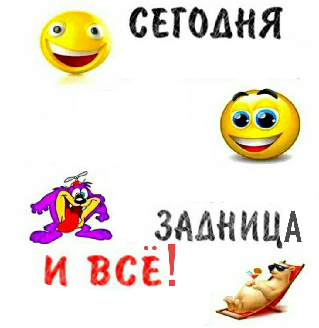СЕТОДНЯ ЗАДНИЦА И