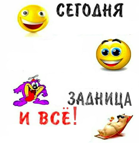 СЕТОДНЯ ЗАДНИЦА И