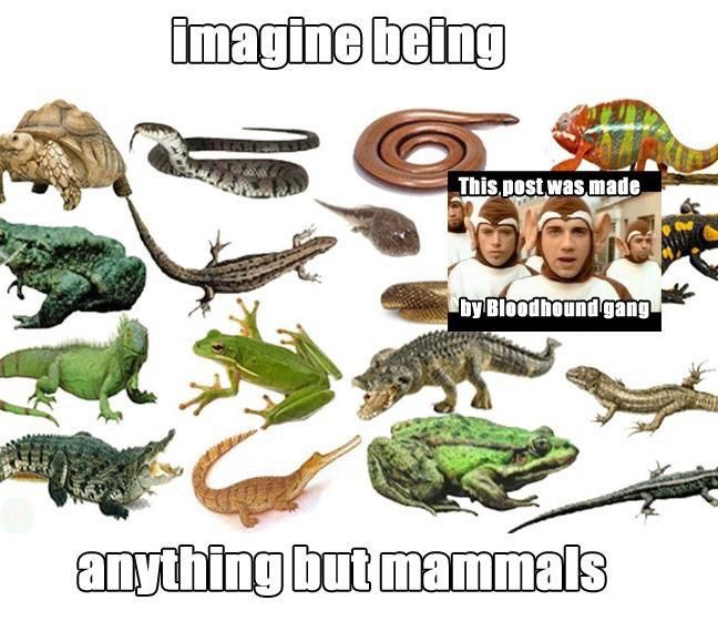 a» post was made