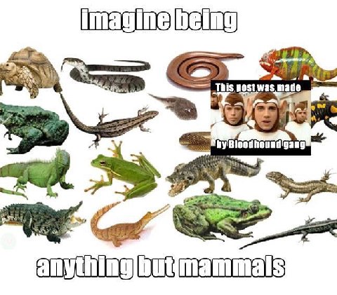 a» post was made