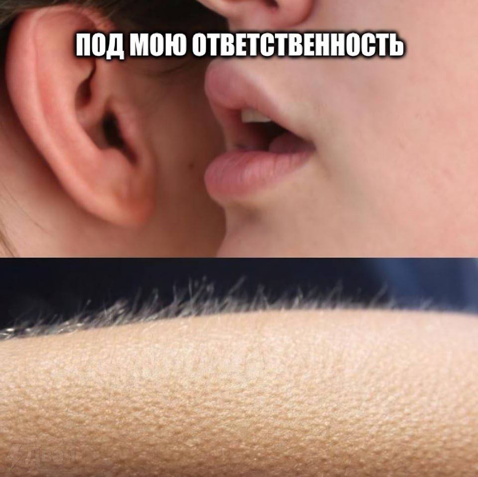 ПОД МОЮ ОТВЕТСТВЕННОСТЬ