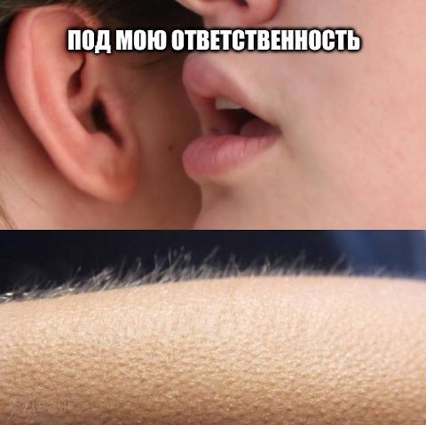 ПОД МОЮ ОТВЕТСТВЕННОСТЬ