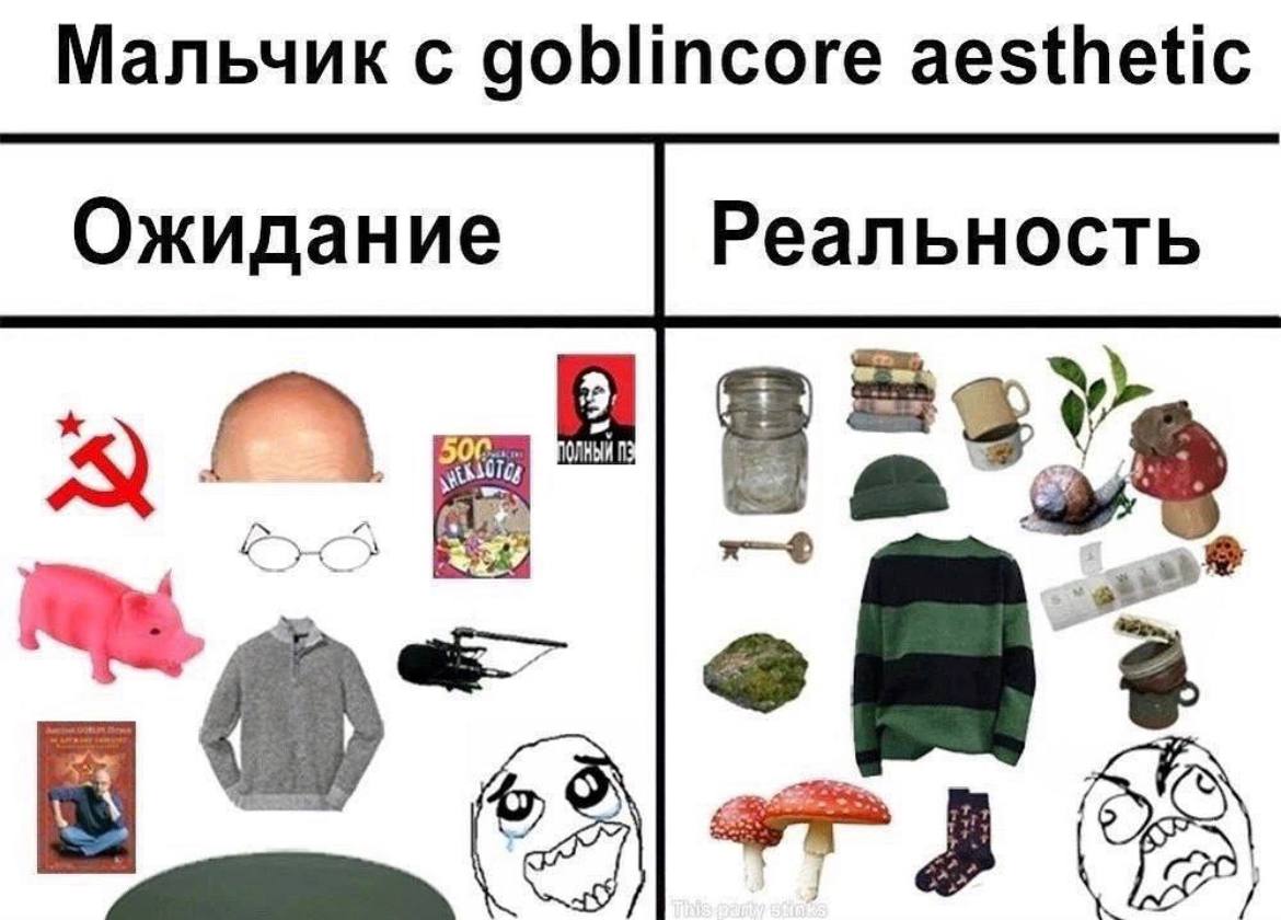 Мальчик с goblincore aesthetic Ожидание Реальность 5