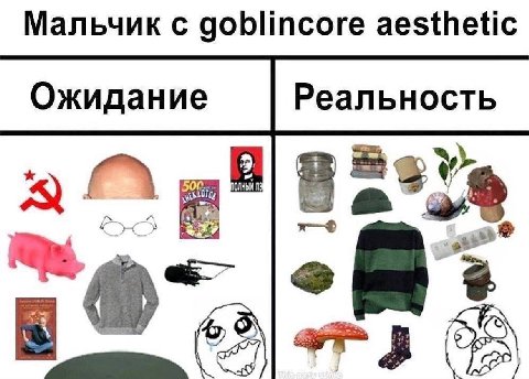 Мальчик с goblincore aesthetic Ожидание Реальность 5