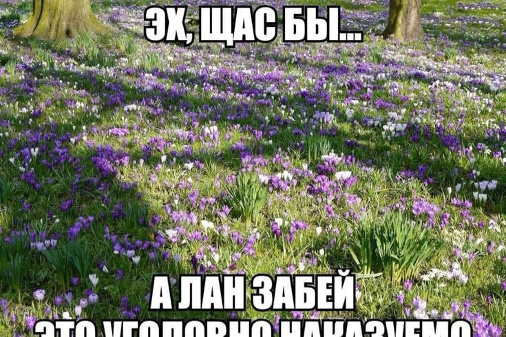 "he ‚Бы У che i "У 4 for 41, я 7 i АЛАН ЗАБЕЙ: RUA
