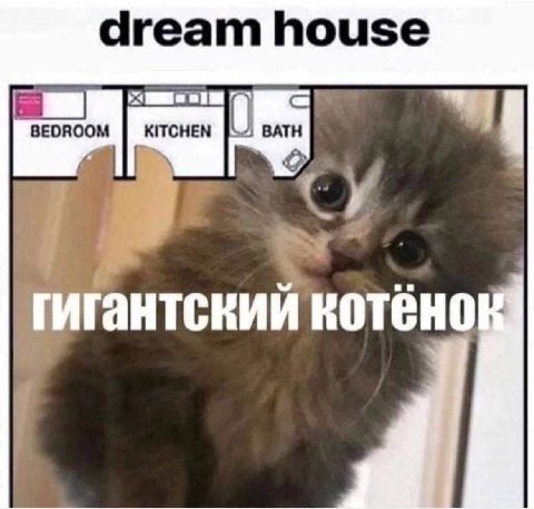 dream house BEDROO гантскии KOTEHO