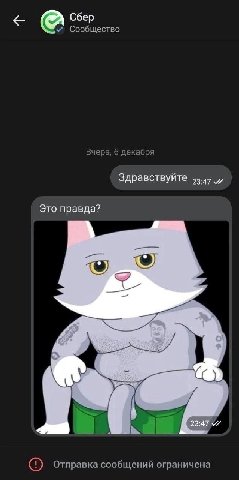 Сбер Сообщество Вчера, 6 декабря Здравствуйте 55.45 Это правда? Отправка сообщений ограничена