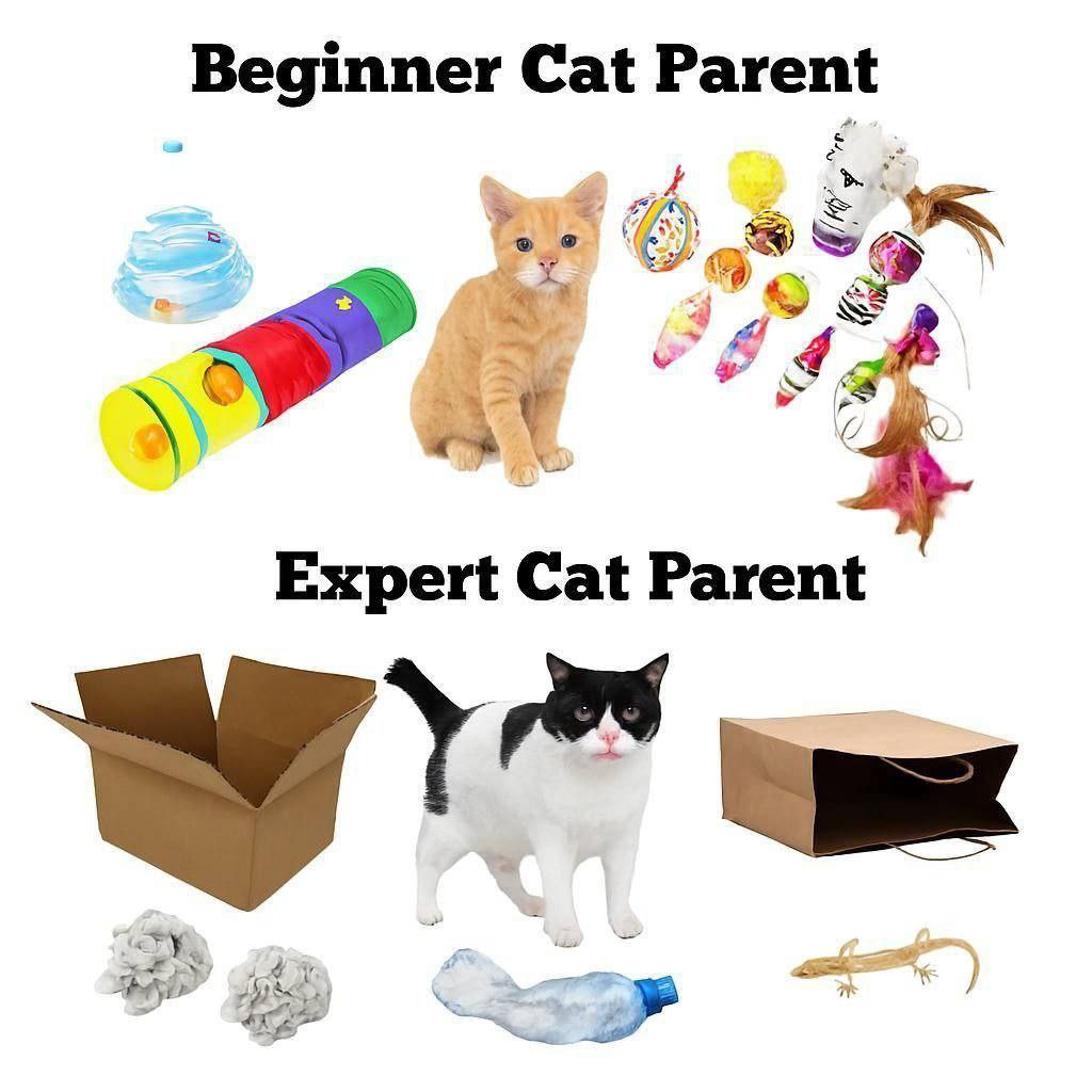 Beginner Cat Expert Cat Parent 22