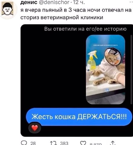 денис @aeniscnor: 12 я вчера пьяный в 3 часа ночи отвечал на сториз ветеринарной клиники Вы ответили на его/ее историю Жесть кошка ДЕРЖАТЬСЯ!!! 28 383