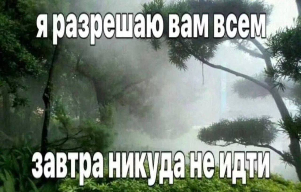 яразрешаю завтра никуда