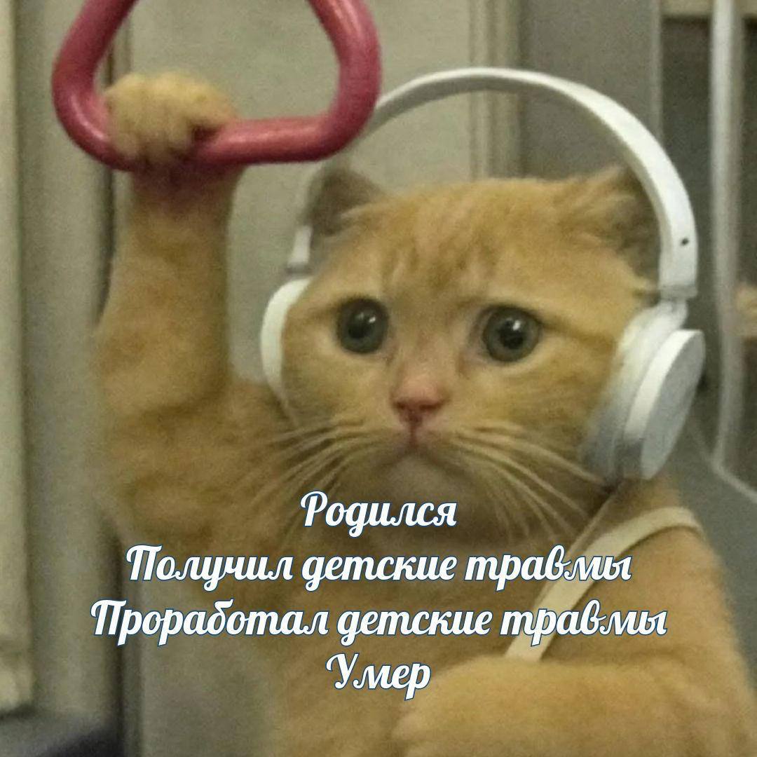 7 Родился Получил детские Прорадотал детские ‘мер