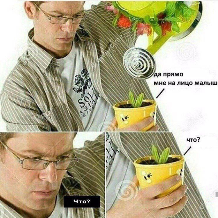a npamo А мне на лицо малыш что? at Что? 7 AN