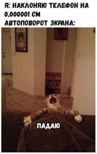 Я: НАКЛОНЯЮ ТЕЛЕФОН НА 0,000001 АВТОПОВОРОТ ЭКРАНА: ПАДАЮ