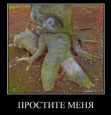 ПРОСТИТЕ МЕНЯ