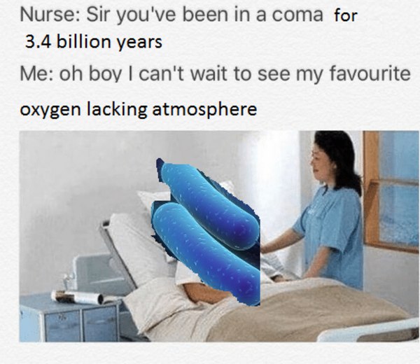 Nurse: Sir you've been а coma for 3.4 billion years boy can't wait to see my favourite oxygen lacking atmosphere