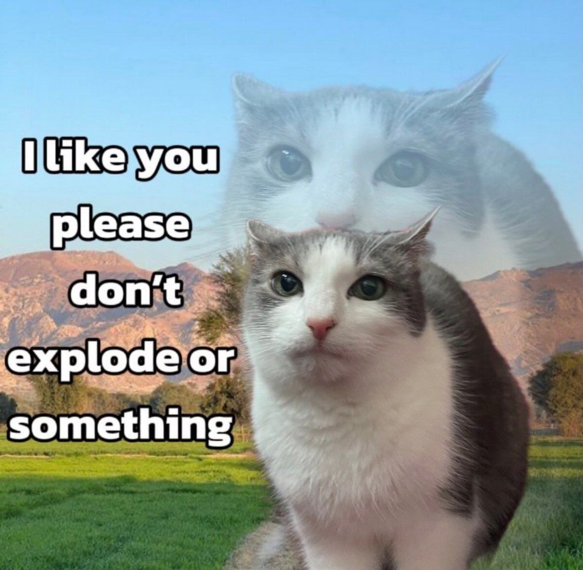 don't explode something