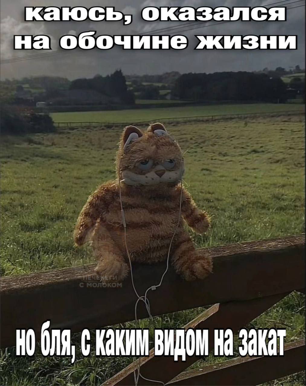 каюсь, оказался на обочине жизни СКАКИИ ВИДОМ На
