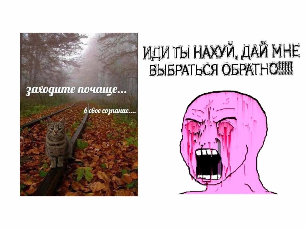 ТЫ HAXYb МНЕ ВЫБРАТЬСЯ OBPATHC 0 заходите почаще 6 свое сознание и