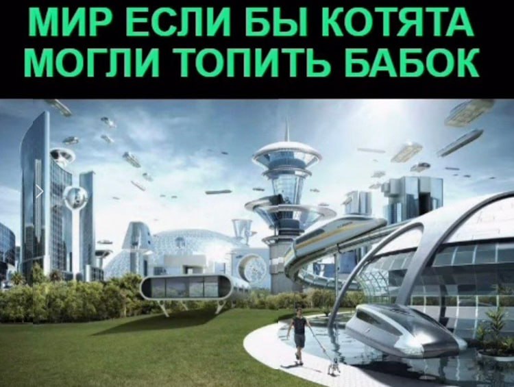 МИР ЕСЛИ БЫ КОТЯТА МОГЛИ ТОПИТЬ БАБОК as