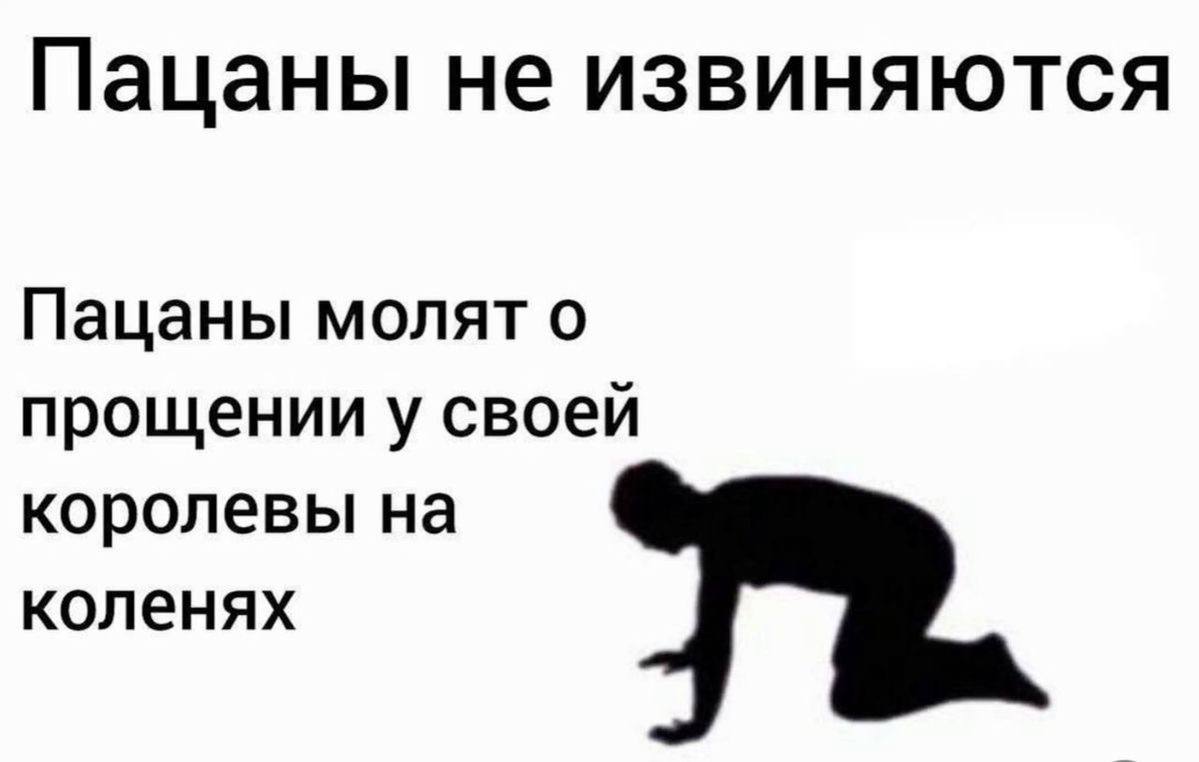 Пацаны не извиняются Пацаны молят о прощении у своей королевы на коленях