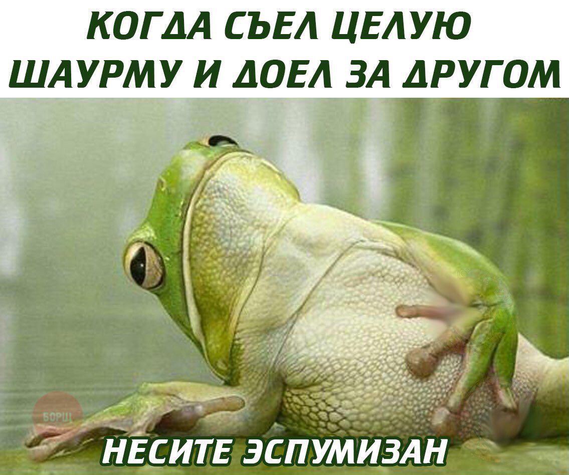 КОГЛА СЪЕЛ ЦЕЛУЮ ШАУРМУ И AGEA ЗА ДРУГОМ НЕСИТЕ ЭСПУМИЗАН