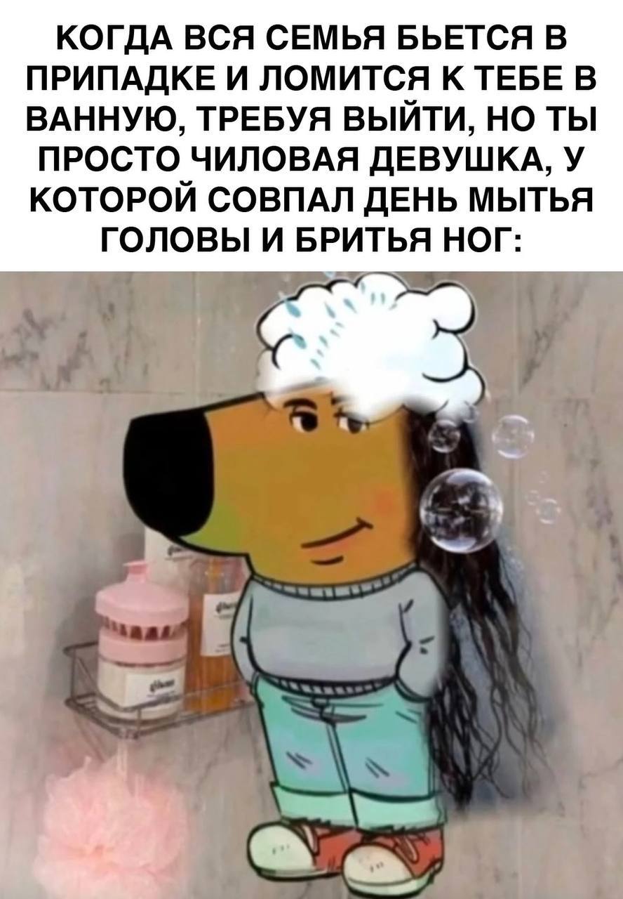 КОГДА ВСЯ СЕМЬЯ БЬЕТСЯ В ПРИПАДКЕ И ЛОМИТСЯ К ТЕБЕ В ВАННУЮ, ТРЕБУЯ ВЫЙТИ, НО ТЫ ПРОСТО ЧИЛОВАЯ ДЕВУШКА, У КОТОРОЙ СОВПАЛ ДЕНЬ МЫТЬЯ ГОЛОВЫ И БРИТЬЯ НОГ: ite A IN