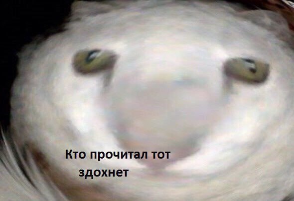 Кто прочитал тот здохнет