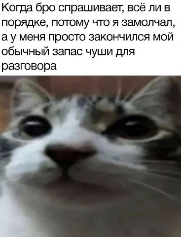 Когда бро спрашивает, всё ли в порядке, потому что я замолчал, меня просто закончился мой обычный запас чуши для разговора