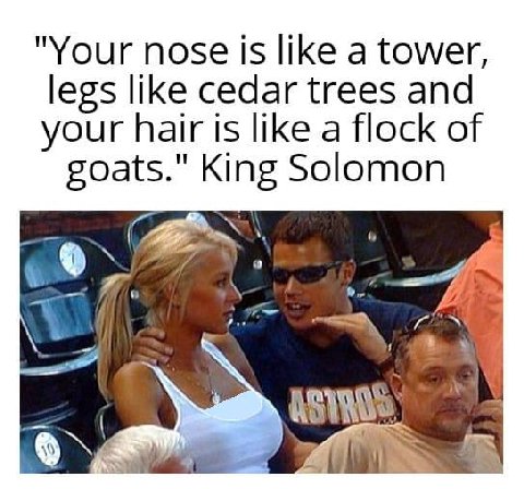 "Your nose is like а tower, legs like cedar trees and your hair is like a flock of goats." King Solomon a3 у