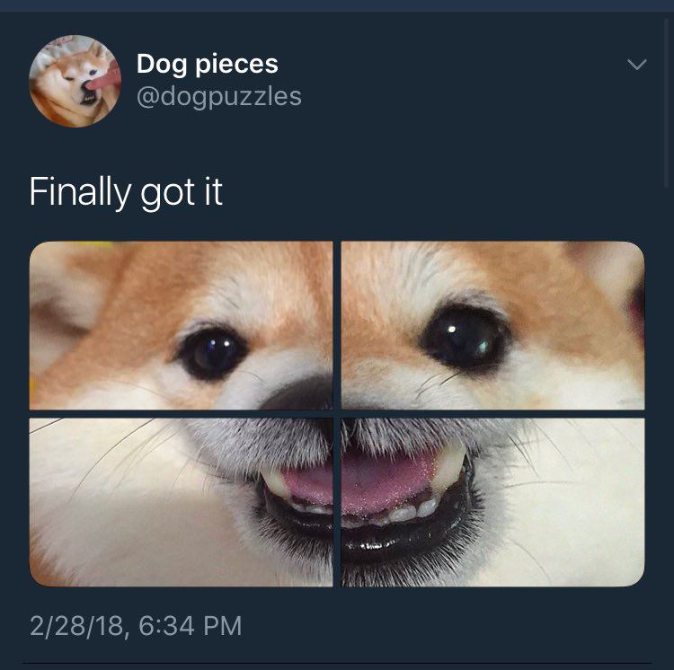 Dog pieces Finally got it