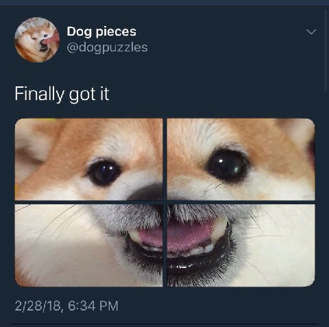 Dog pieces Finally got it