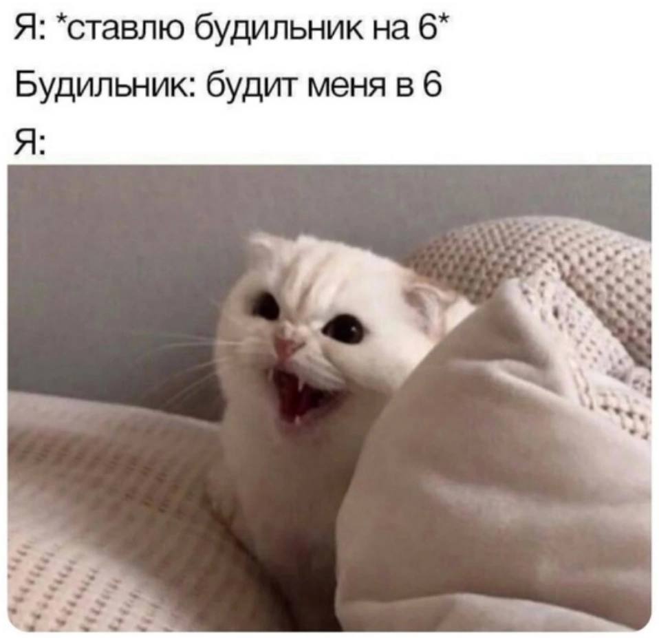 Я: *ставлю будильник на 6* Будильник: будит меня в 6 Я: