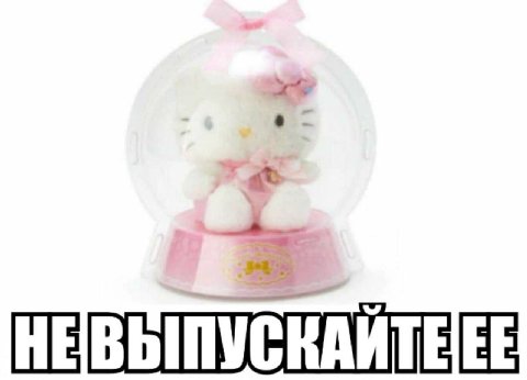 НЕВЫПУСКАЙТЕЕЕ
