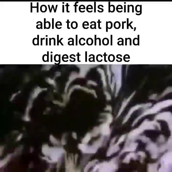 How it feels being drink alcohol and digest lactose
