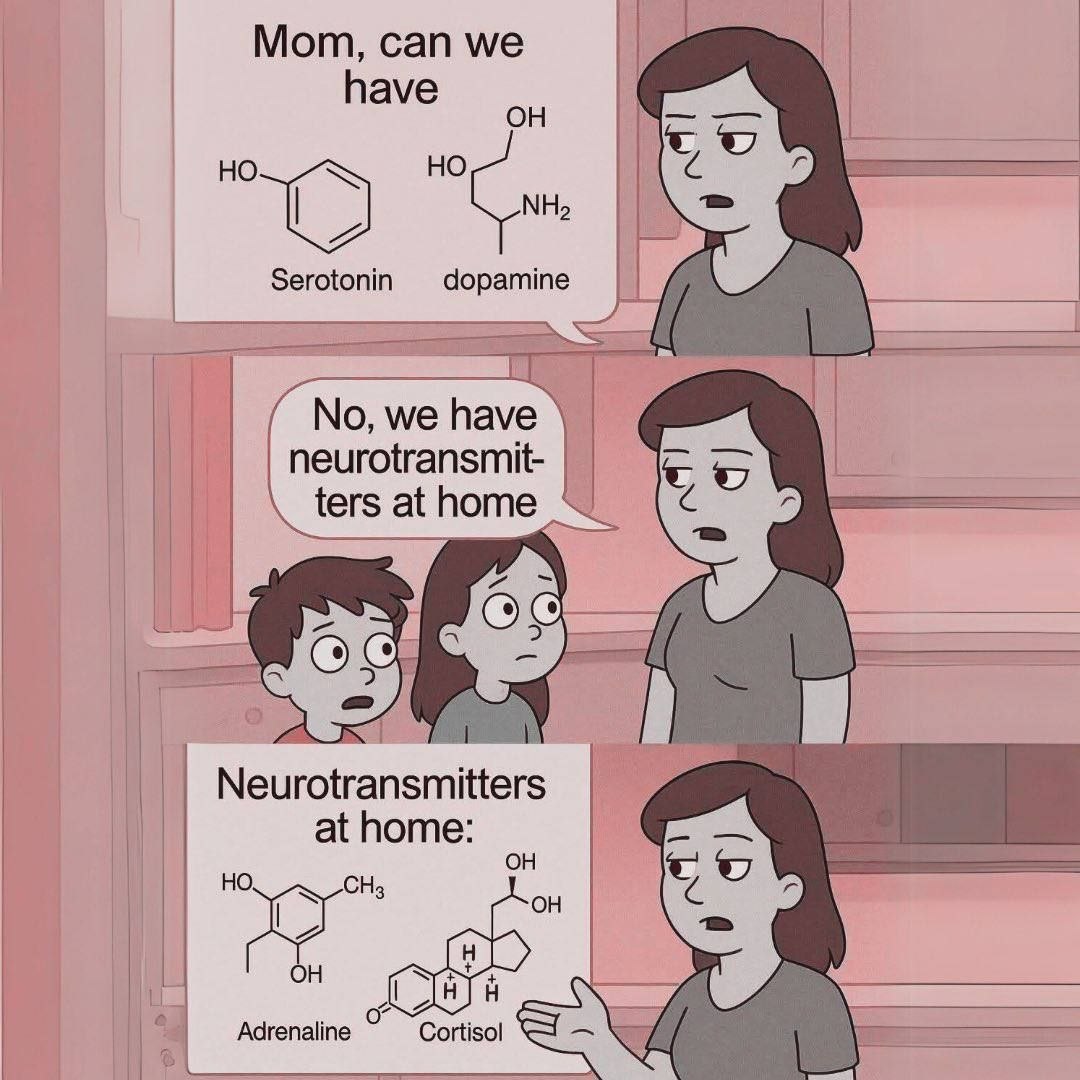 Мот, сап have Serotonin dopamine No, we have neurotransmit- ters at home at home: Adrenaline Cortisol