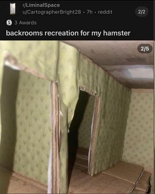 r/LiminalSpace u/CartographerBright28 reddit 2/2 3 Awards backrooms recreation for my hamster 2/5