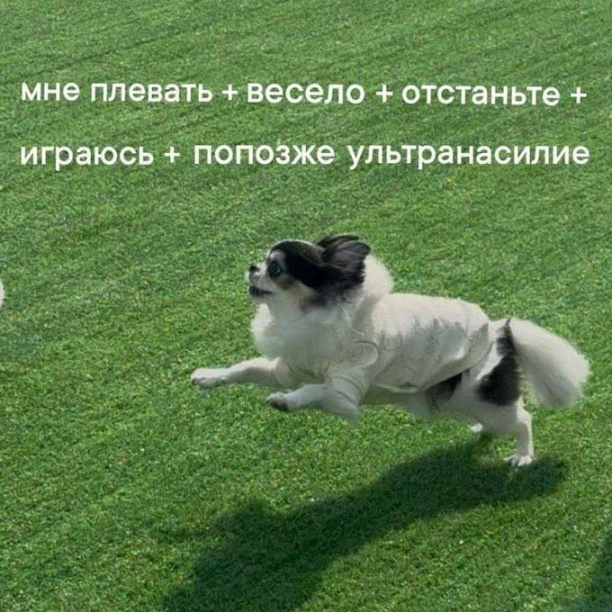мне плевать весело отстаньте играюсь попозже ультранасилие