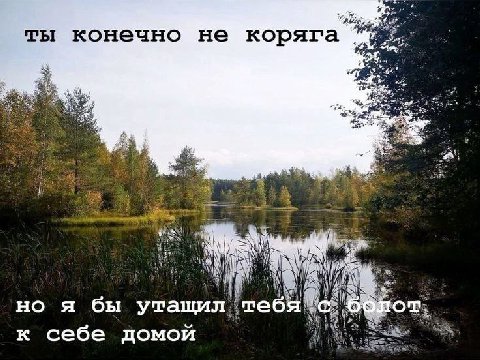 ты конечно не коряга я бы утащил к себе домой