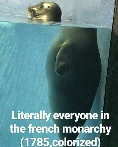Literally everyone in the french monarchy (1785.colorized)