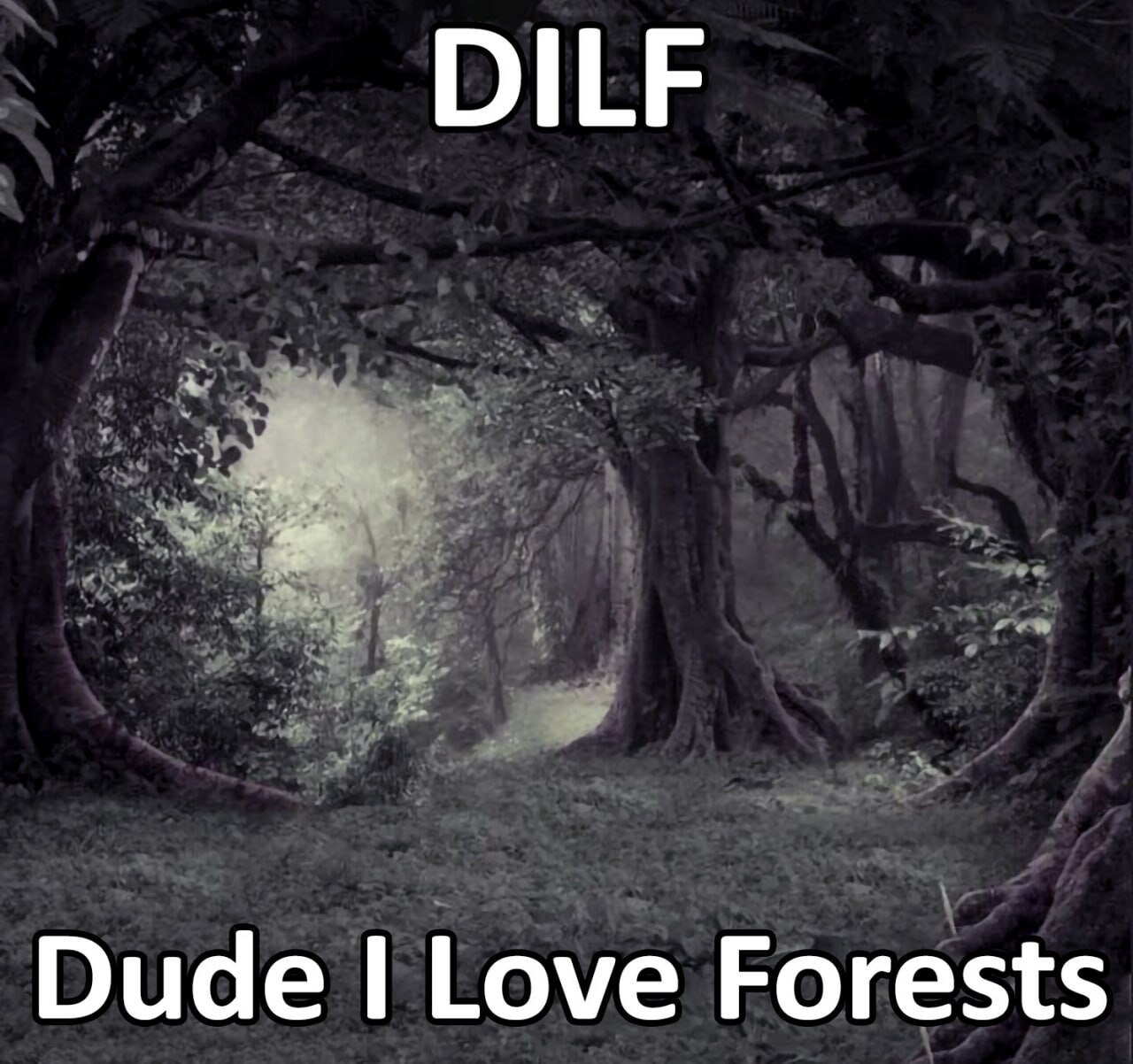 Dude Love Forests