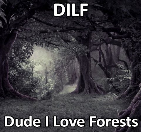 Dude Love Forests