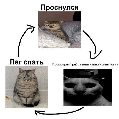 Проснулся Лег спать Посмотрел требования квакансиям на
