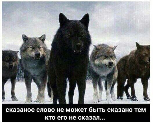 4 у 2 у A i сказаное слово не может быть сказано тем кто его не сказал...