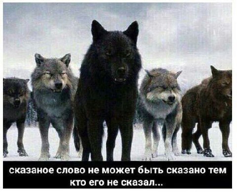 4 у 2 у A i сказаное слово не может быть сказано тем кто его не сказал...