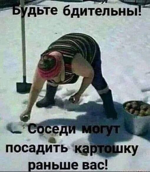 посадить раньше вас!