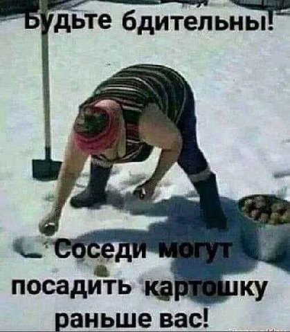 посадить раньше вас!